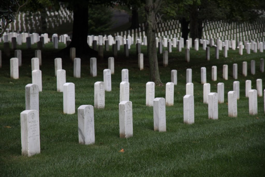 Image of gravestones aligned in neat rows in the foreground, stretching across the entire photo and into the distance.