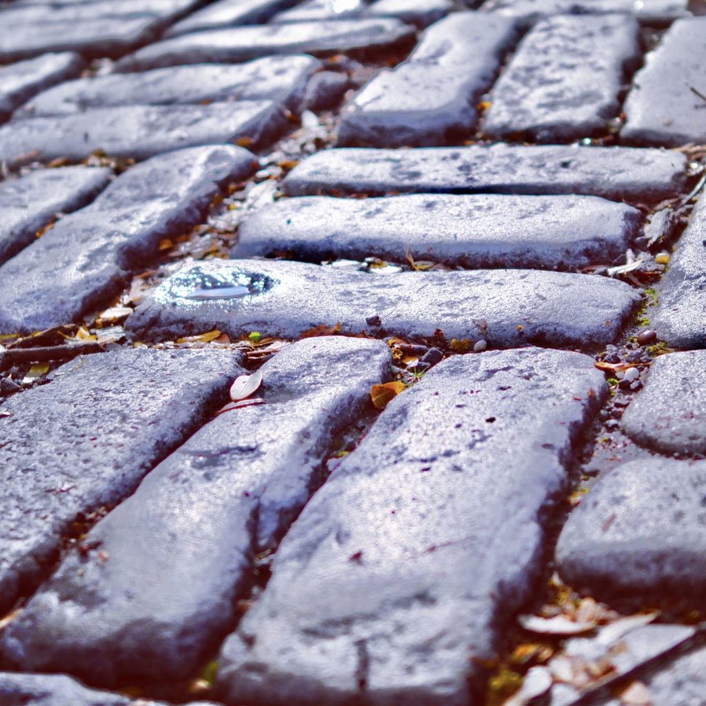 image of brick pavers with leaves betwen the crevices. They are laid in a criss cross pattern., three bricks in each section.