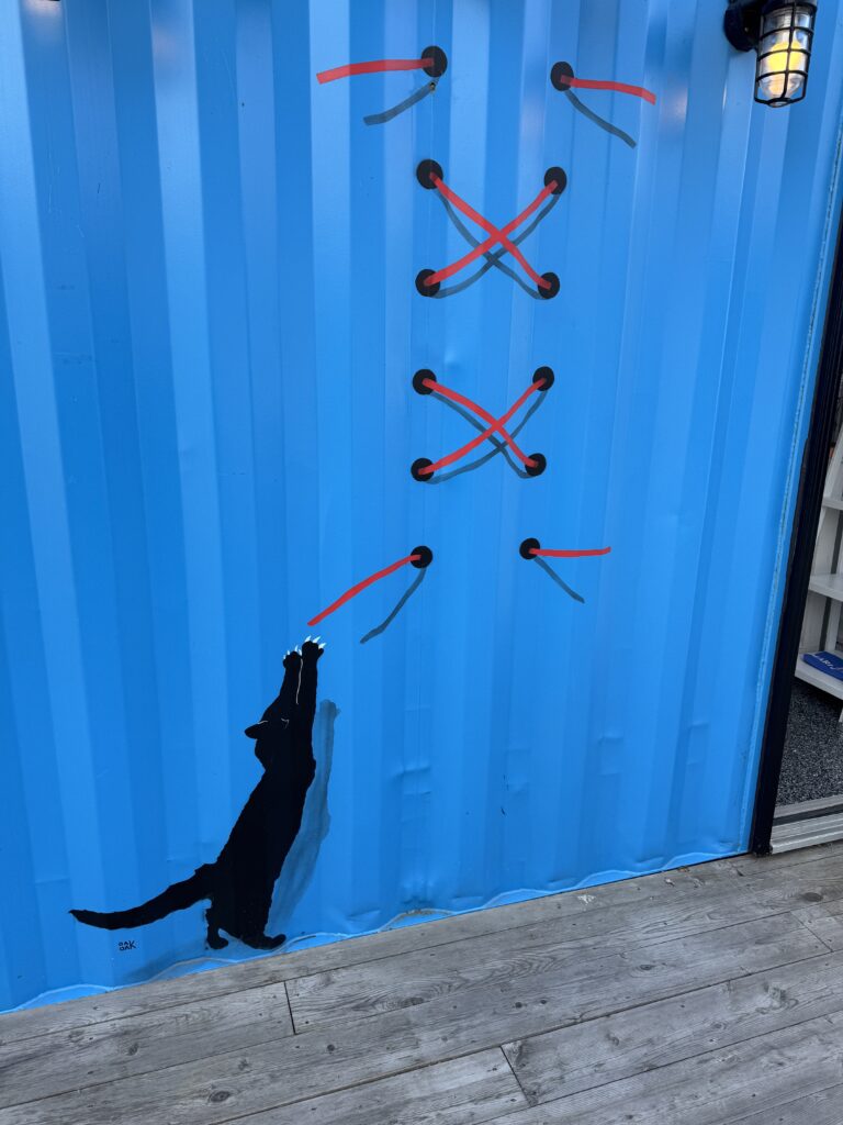 An image of a cat on the side of a container and Doing shoelaces. The container is blue and the cat is black. This container is located in the container. Village at the court where a number of people sell souvenirs and tourist items.