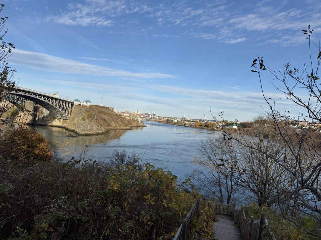 Image looking down the river you can see a glimpse of the bridge on the left with foliage in the foreground of the river stretching into the distance. The sky is blue and it’s a sunny day.