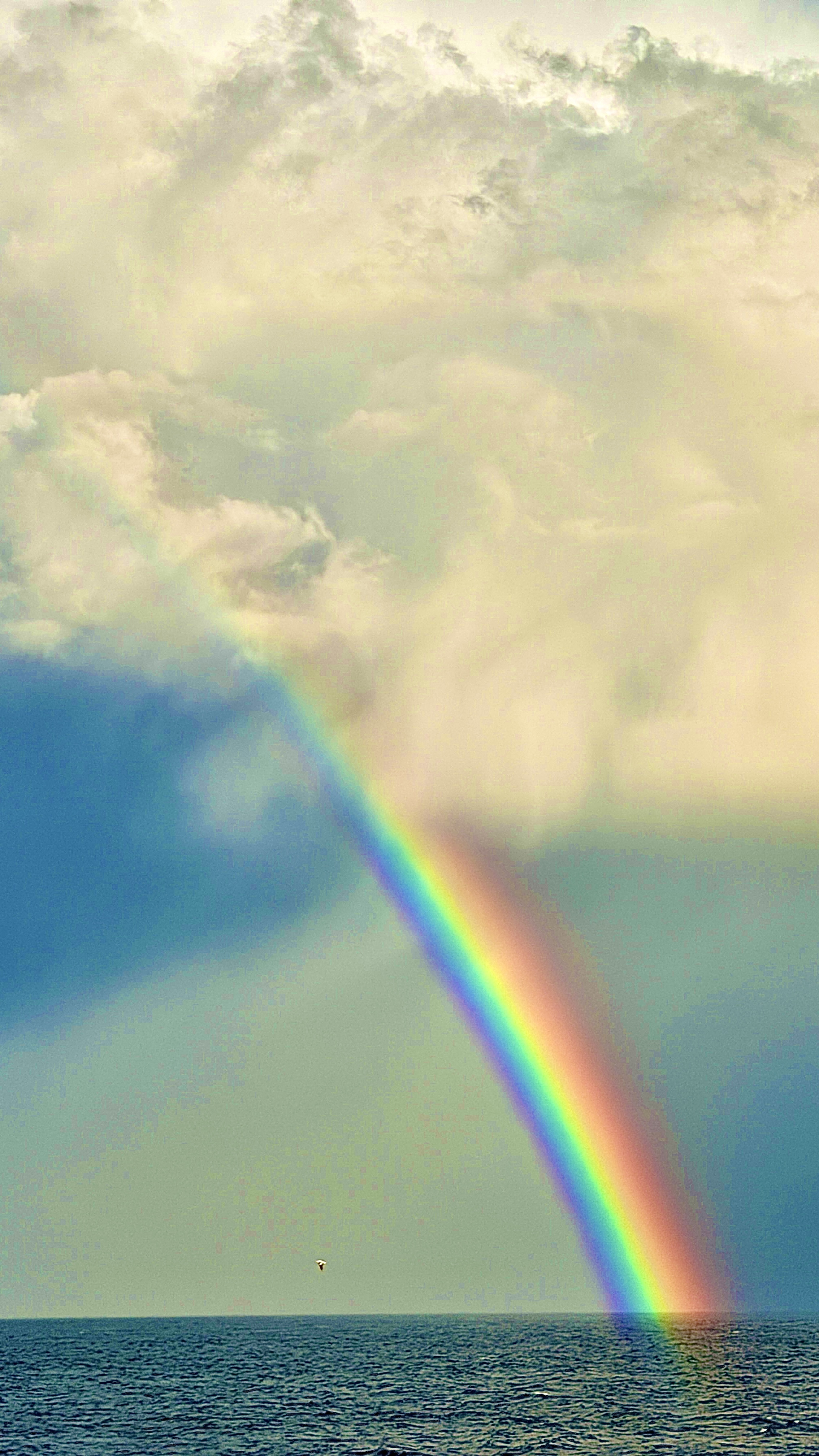 Sydney to Eden and Back