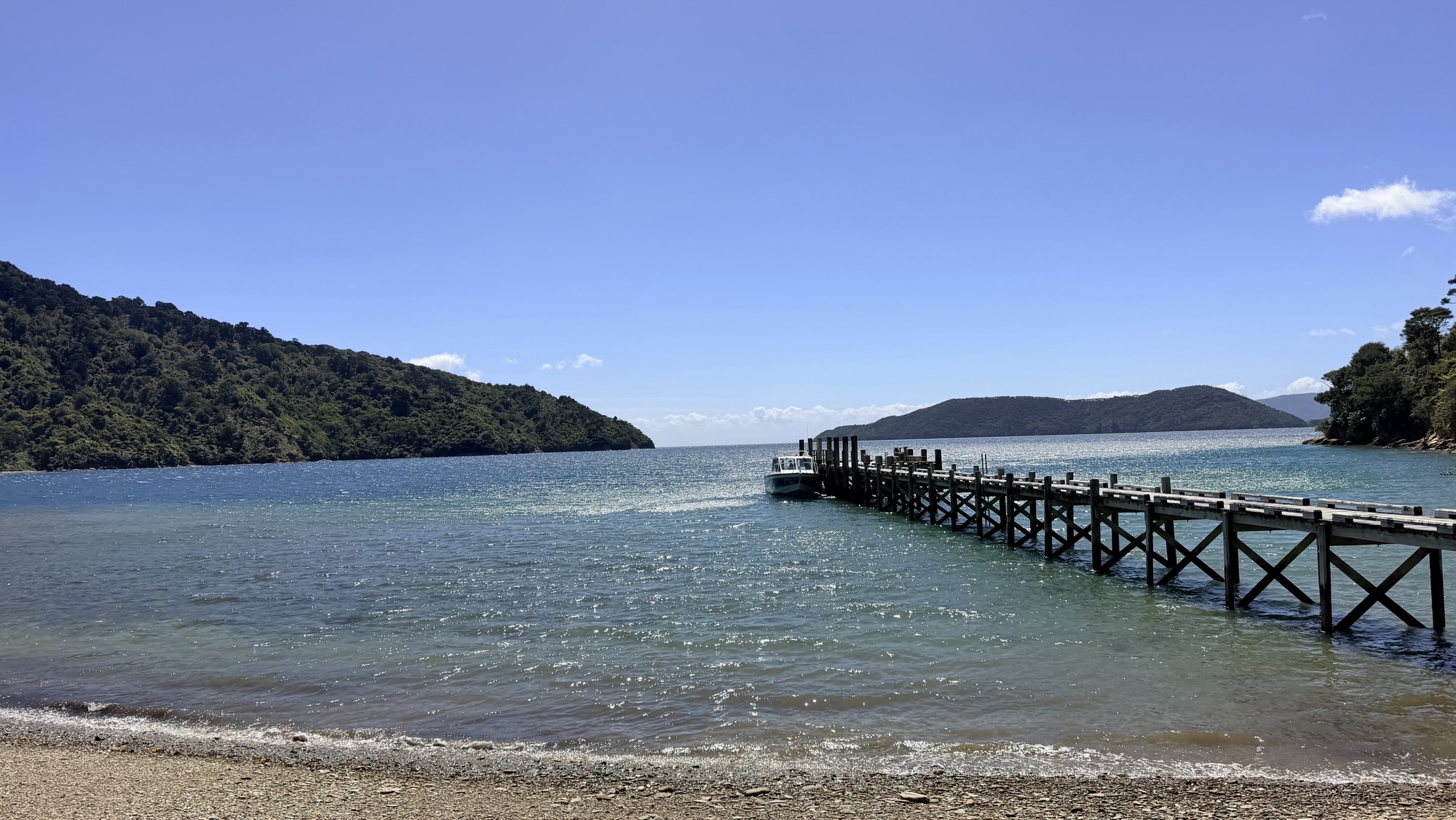 Day 06 – Picton, Wind, Wildlife and the Sounds