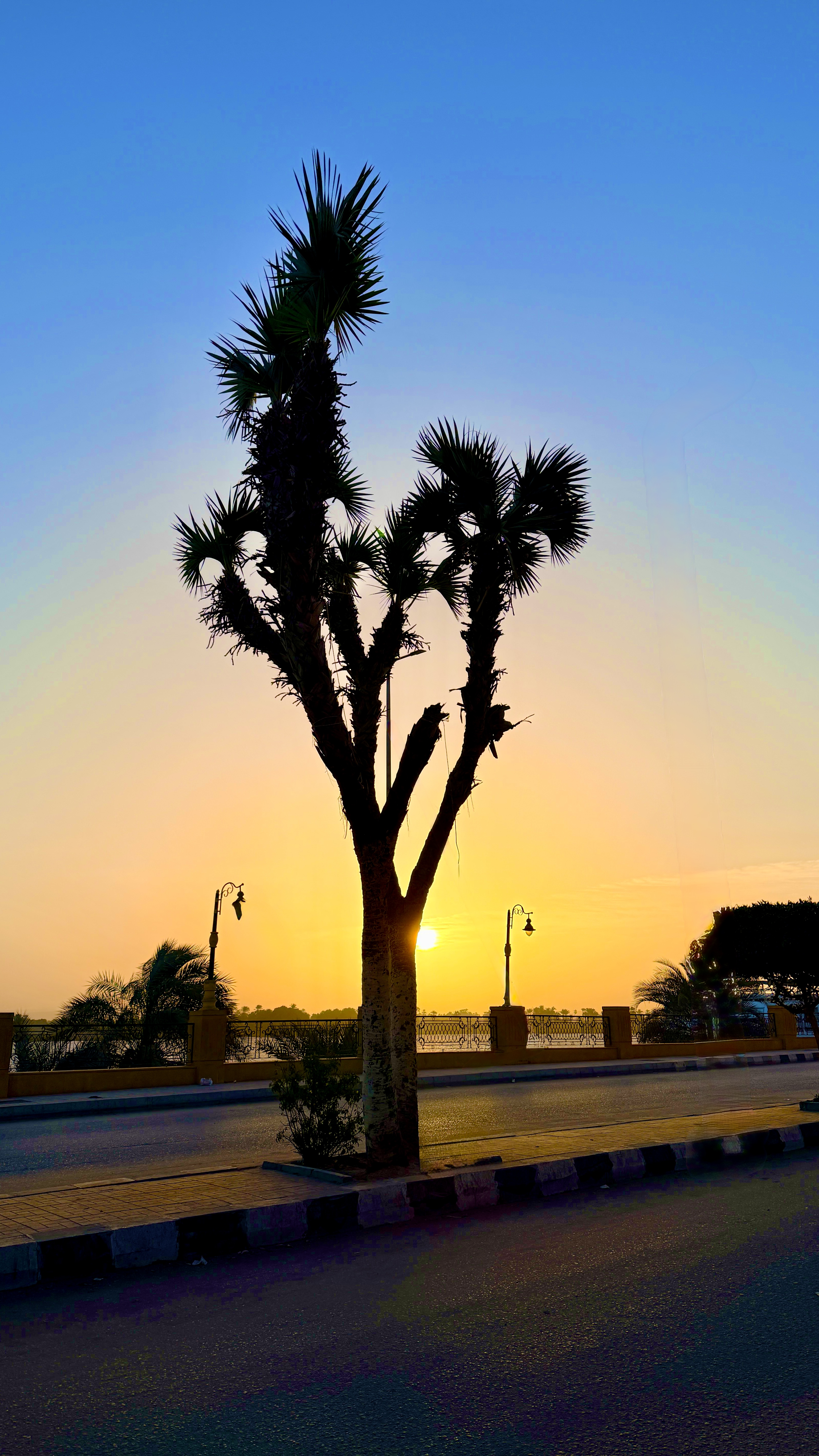 Egypt Day 09: Lost, Found, and Buried Beneath the Street