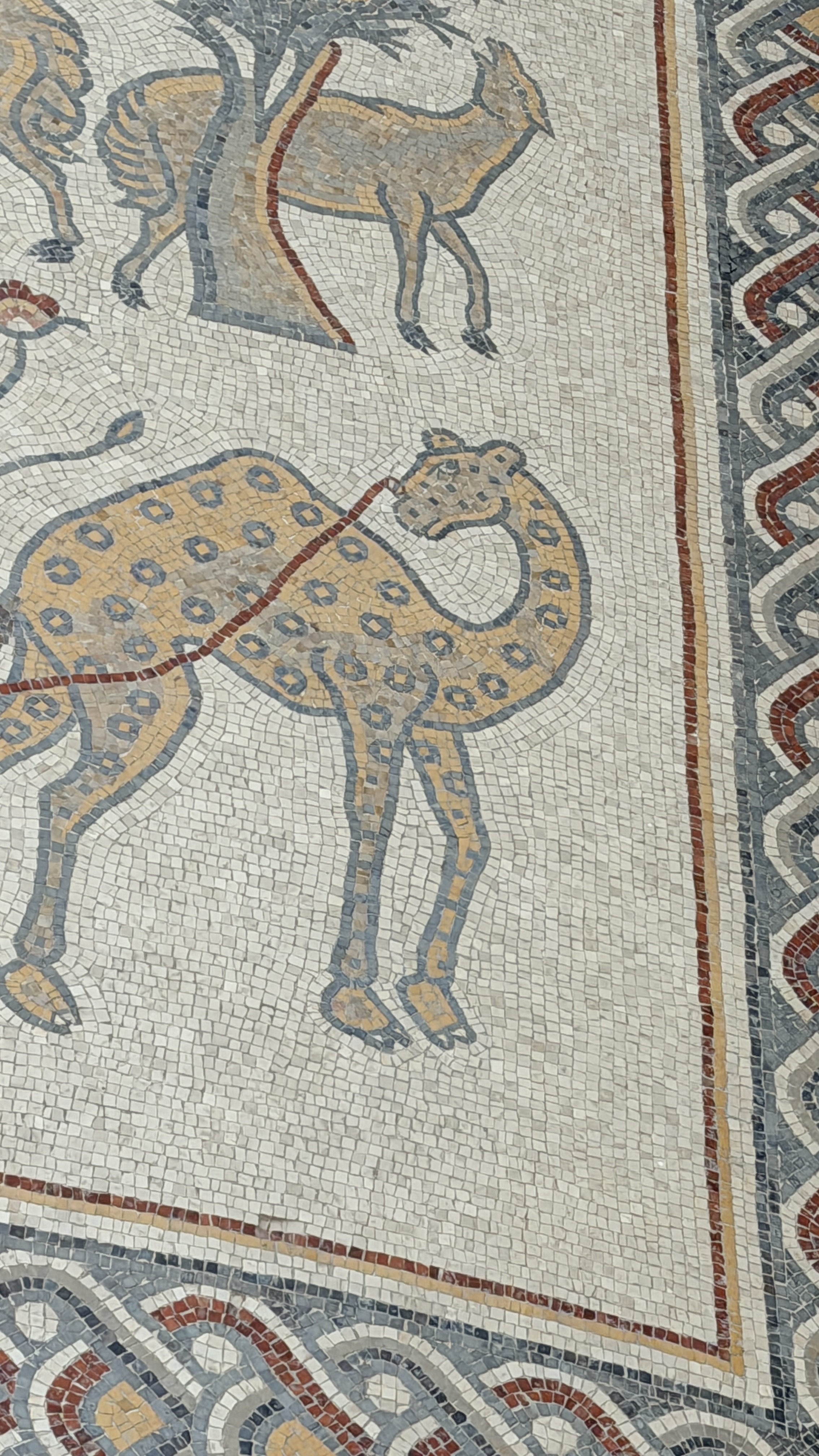 Jordan Day 02: From Fabled Landscapes to Petra at Dusk