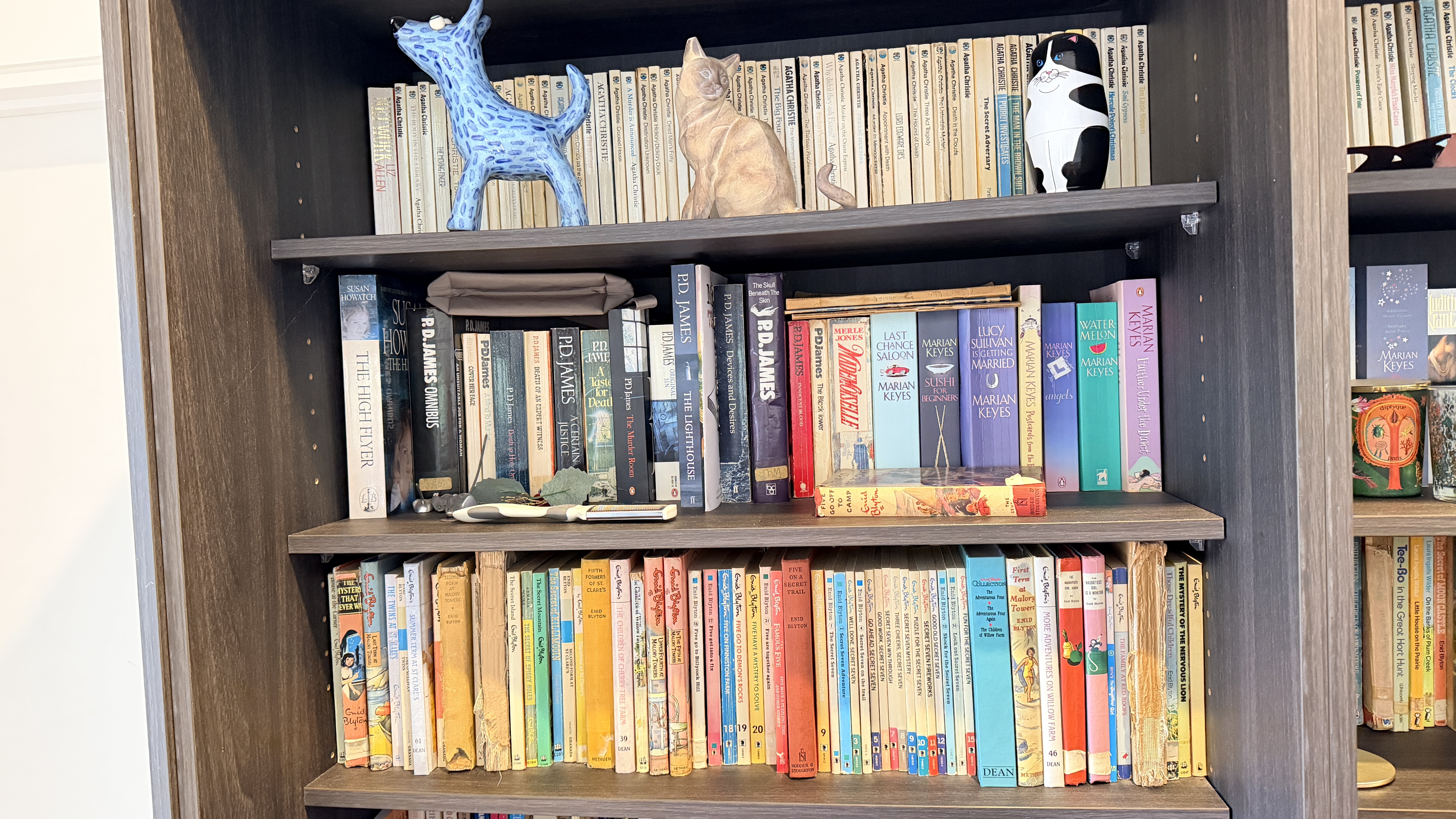 An image of our bookshelf.